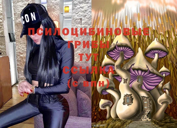 дмт Бугульма